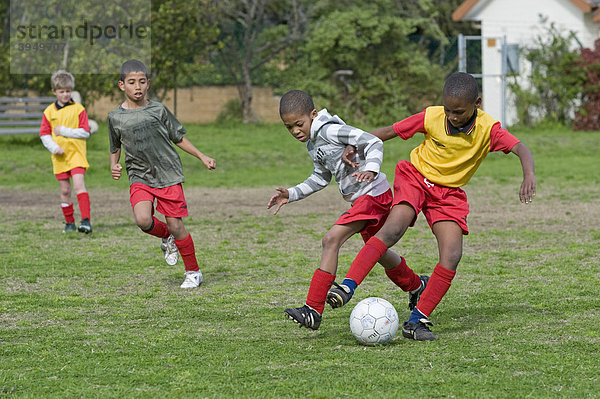 Spieler einer Jugend-Fußballmannschaft kämpfen um den Ball  Kapstadt  Südafrika  Afrika