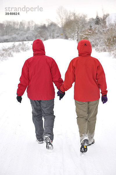 Zwei Spaziergänger im Schnee