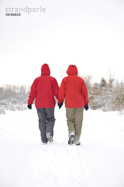 Zwei Spaziergänger im Schnee