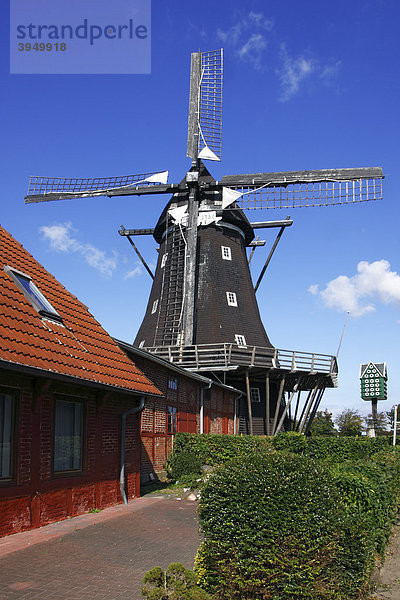 Alte Windmühle  Mühlenmuseum in Lemkenhafen  Insel Fehmarn  Ostseeinsel  Kreis Ostholstein  Schleswig-Holstein  Deutschland  Europa