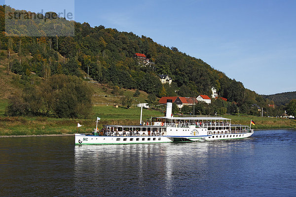 Raddampfer Leipzig der Sächsischen Dampfschifffahrt auf der Elbe bei Königstein  Elbsandsteingebirge  Nationalpark Sächsische Schweiz  Sachsen  Deutschland  Europa