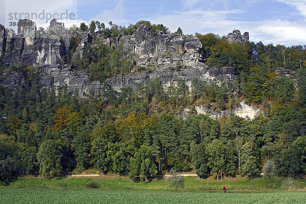 Die Bastei  Felsen im Elbsandsteingebirge an der Elbe  Rathen  Nationalpark Sächsische Schweiz  Sachsen  Deutschland  Europa