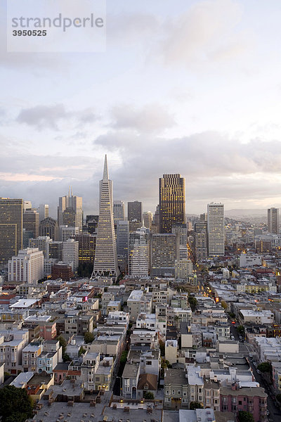 Aussicht vom Coit Tower  San Francisco  Downtown  Kalifornien  USA  Vereinigte Staaten von Amerika