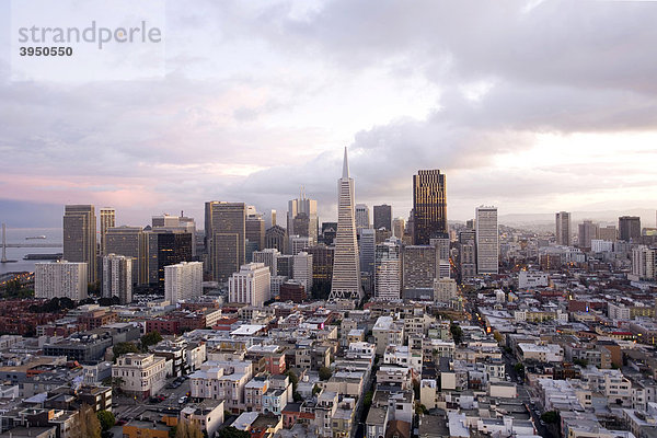 Aussicht vom Coit Tower  San Francisco  Kalifornien  USA  Vereinigte Staaten von Amerika