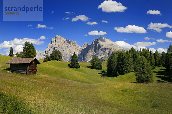 Seiser Alm  Sicht auf die Langkofelgruppe  Dolomiten  Südtirol  Italien  Europa