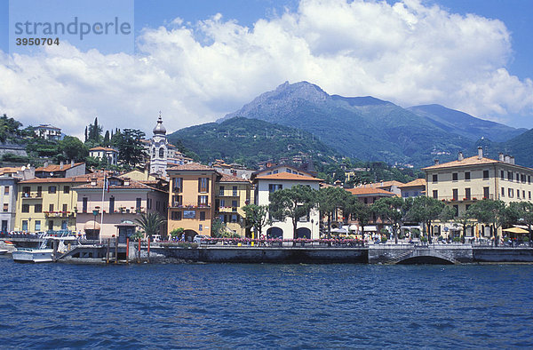 Ortsansicht von Men·ggio  Panorama  Comer See  Oberitalienische Seen  Lombardei  Italien  Europa