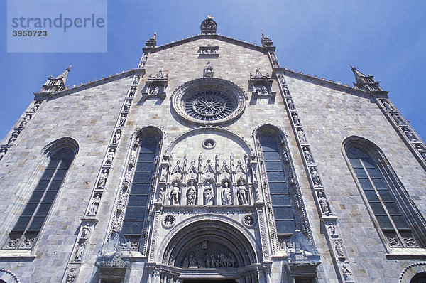 Fassade Dom Santa Maria Maggiore  Kirche  Como  Comer See  Lombardei  Italien  Europa