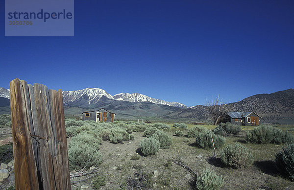 Verlassene Hütten bei Lee Mining  Einöde  Landschaft  Sierra Nevada  Kalifornien  Amerika  USA