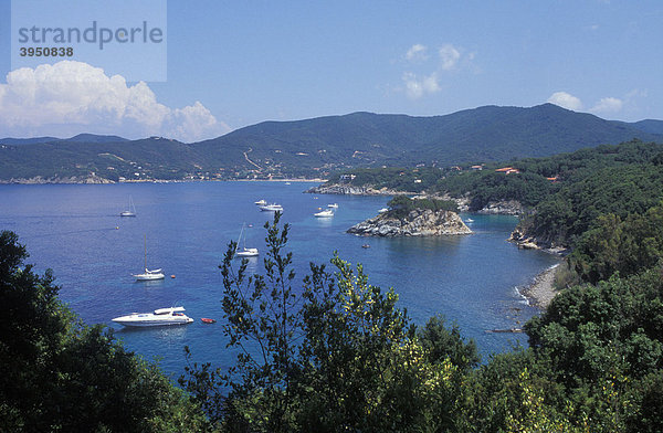 Jachten bei der Insel Paolina  Boote  Motorjachten  Luxus  bei Procchio  Elba  Insel Elba  Toskana  Italien  Europa