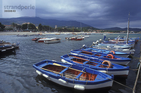 Fischerboote im Hafen von Marina di Campo  Fischerei  Elba  Insel Elba  Toskana  Italien  Europa