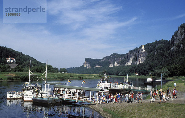 Gierseilfähre über die Elbe in Rathen  Elbsandsteingebirge  Sächsische Schweiz  Sachsen  Deutschland  Europa