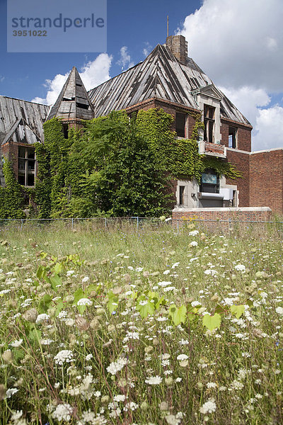 Das von Unkraut überwucherte Brewer Recreation Center Freizeitzentrum im Osten von Detroit nach der Schließung durch die Stadt im Jahr 2006 aufgrund von Haushaltskürzungen  Detroit  Michigan  USA