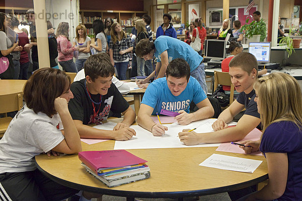 Schüler arbeiten an einem Projekt im Medienzentrum  Bibliothek  an der Lake Shore High School  St. Clair Shores  Michigan  USA