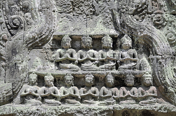 Relief von Buddhastatuen  Ruinen der Tempelanlage von Ta Prohm  Angkor Thom  Welterbe der UNESCO  Siem Reap  Kambodscha  Asien