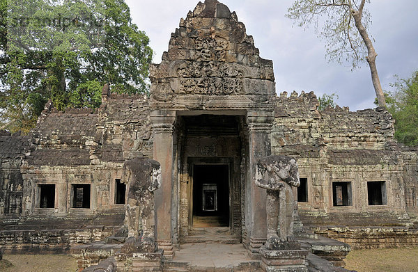 Ruinen der Tempelanlage Prasat Preah Khan  Angkor  Welterbe der UNESCO  Siem Reap  Kambodscha  Asien
