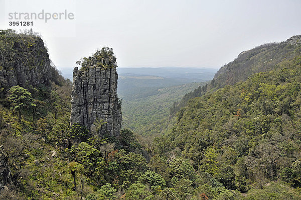 Pinnacle  eine gigantische Quarzit-Säule im Blyde River Canyon Nature Reserve  Provinz Mpumalanga  Südafrika  Afrika