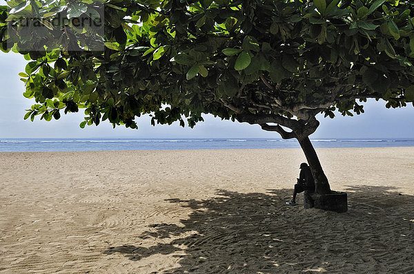 Strand mit Baum bei Sanur  Denpasar  Bali  Indonesien  Südostasien