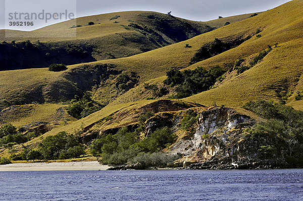 Eine der vielen Komodo Inseln  Komodo-National-Park  Indonesien  Südostasien