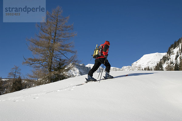 Winterlandschaft auf der Wurzeralm mit Tourengeher  Oberösterreich  Österreich