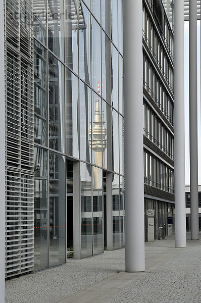 Spiegelung Olympiaturm in der Fassade eines modernen Bürokomplex am Hochhaus Uptown Munich  zweithöchstes Gebäude in München  Georg-Brauchle-Ring  München  Bayern  Deutschland  Europa