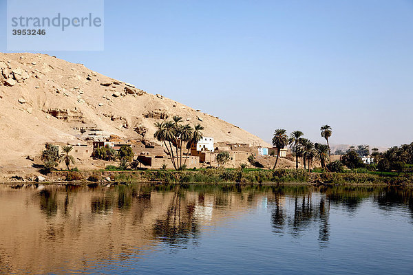 Ansiedlung am Ufer des Nils  Ägypten  Nordafrika  Afrika
