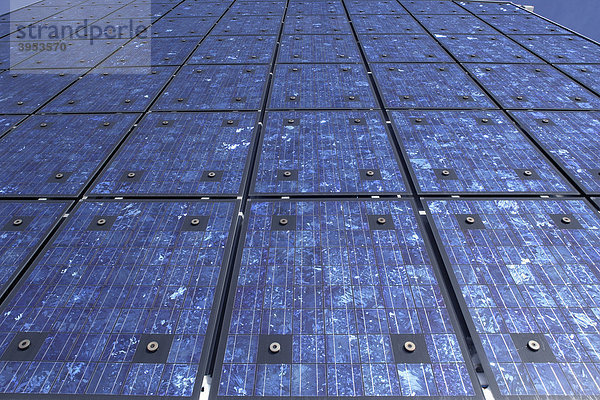 Photovoltaikplatte  Solarzellen  Detail