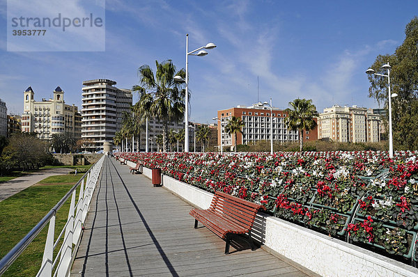 Puente de las Flores  Brücke der Blumen  Jardines del Turia  Stadtpark  Park  Valencia  Spanien  Europa