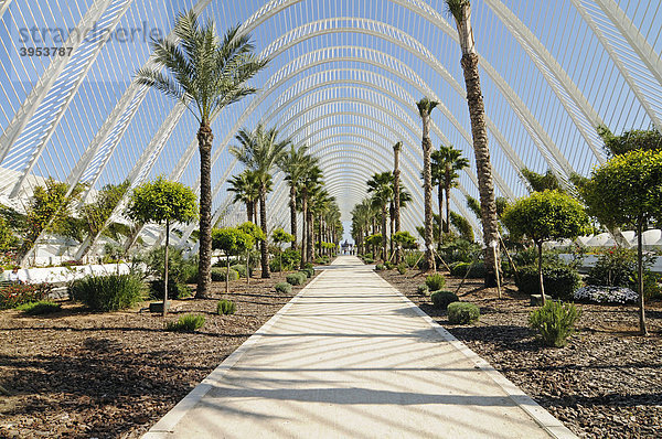 Promenade  Palmengarten  L'Umbracle  Ciudad de las Artes y de las Ciencias  Stadt der Künste und der Wissenschaften  Architekt Santiago Calatrava  Valencia  Spanien  Europa