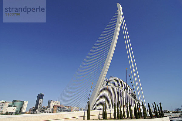 Moderne Brücke  Ciudad de las Artes y de las Ciencias  Stadt der Künste und der Wissenschaften  Architekt Santiago Calatrava  Valencia  Spanien  Europa