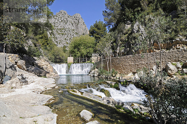 Fonts de l'Algar  Fuentes  Quellen  Fluss  Naturpark  Callosa d'en Sarria  Costa Blanca  Alicante  Spanien  Europa