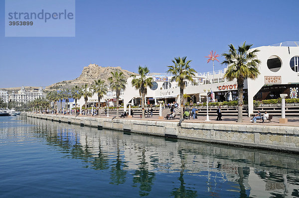 Promenade  Palmen  Castillo Santa Barbara  Burg  Hafen  Alicante  Costa Blanca  Spanien  Europa