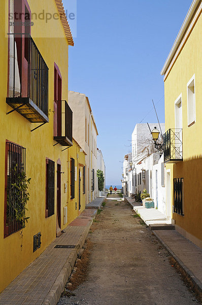 Schmale Straße  gelbe Häuser  Tabarca  Isla de Tabarca  Alicante  Costa Blanca  Spanien  Europa