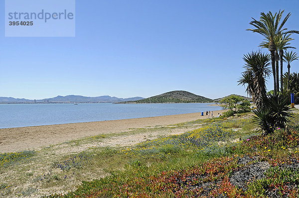 Strand  Ufer  Lagune  Binnenmeer  La Manga  Mar Menor  Murcia  Spanien  Europa