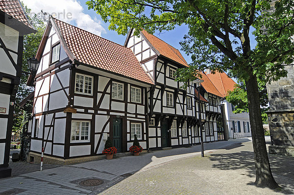 Fachwerkhäuser  historische Altstadt  Werne  Kreis Unna  Nordrhein-Westfalen  Deutschland  Europa