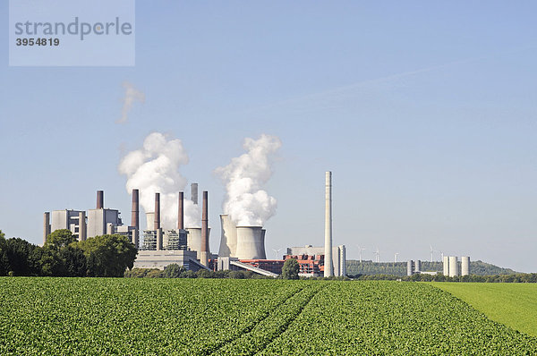RWE Braunkohlekraftwerk  Neurath  Bergheim  Rheinland  Nordrhein-Westfalen  Deutschland  Europa
