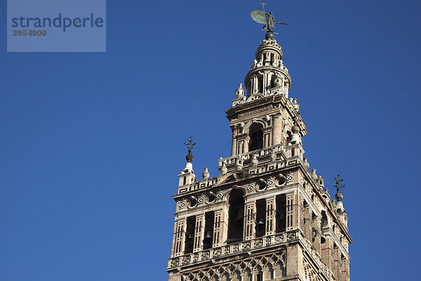 La Giralda  Turm der Kathedrale von Sevilla  Andalusien  Spanien  Europa