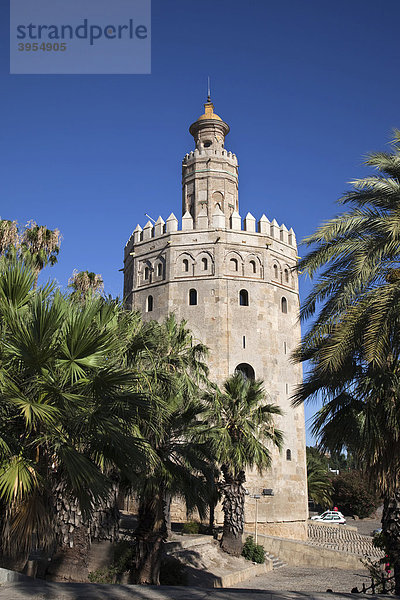 Torre del Oro  historischer militärischer Wachturm in Sevilla  Andalusien  Spanien  Europa