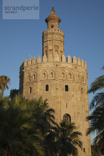 Torre del Oro  historischer militärischer Wachturm in Sevilla  Andalusien  Spanien  Europa