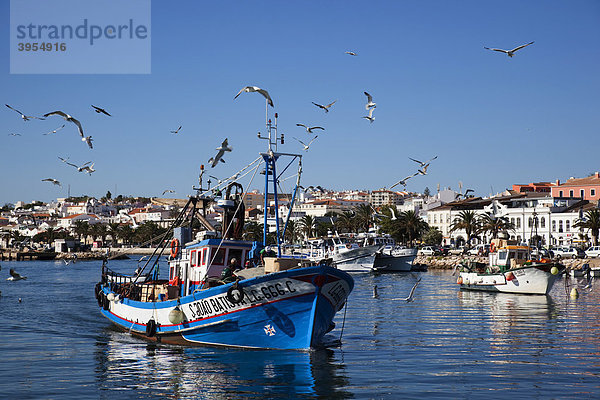 Blauer Fischkutter im Hafen von Lagos  Portugal  Algarve  Europa