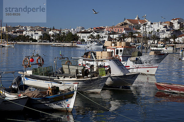 Fischereihafen mit Booten  Lagos  Algarve  Portugal  Europa