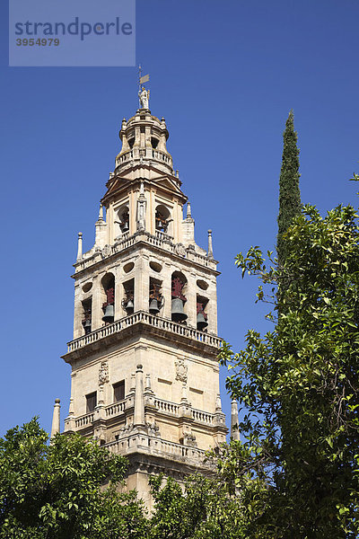 Torre del Alminar  Turm von Alminar  Mezquita  Kathedrale von Cordoba  Cordoba  Andalusien  Spanien  Europa