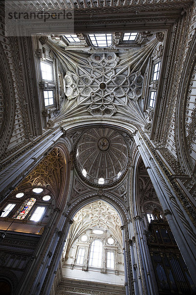 La Mezquita  Moschee  Kathedrale von Cordoba  Cordoba  Andalusien  Spanien  Europa