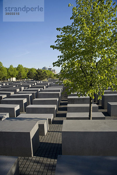 Das Denkmal für die ermordeten Juden in Europa  Berlin  Deutschland  Europa
