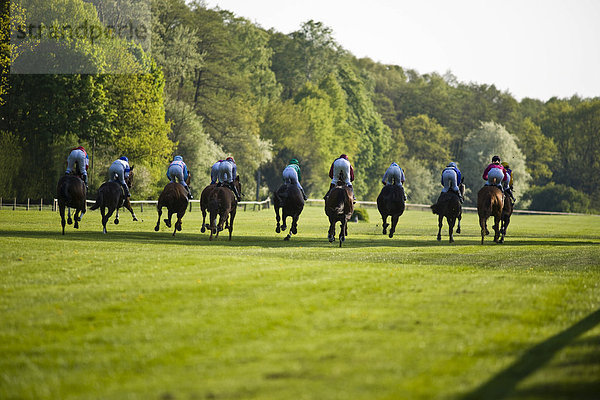 Pferderennen auf der Galopprennbahn in Hoppegarten  Berlin  Deutschland  Europa