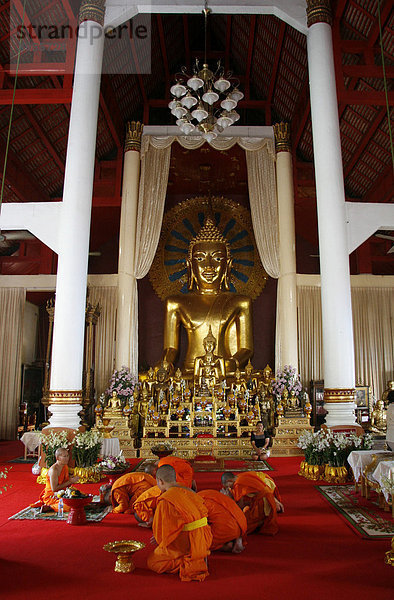 Buddhistische Mönche meditieren und beten  Buddha Statue  Tempelanlage Wat Phra Sing  Chiang Mai  Thailand  Asien