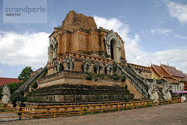 Stupa mit Elefanten  Statuen  Tempelanlage Wat Chedi Luang  Chiang Mai  Thailand  Asien
