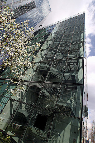 Highlight Towers  Bürogebäude  Magnolienbaum  München  Bayern  Deutschland  Europa