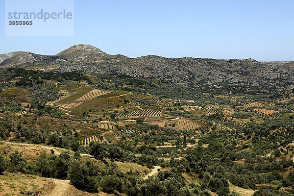 Panorama-Aussicht von Anogia auf das Psiloritis Gebirge  Kreta  Griechenland  Europa