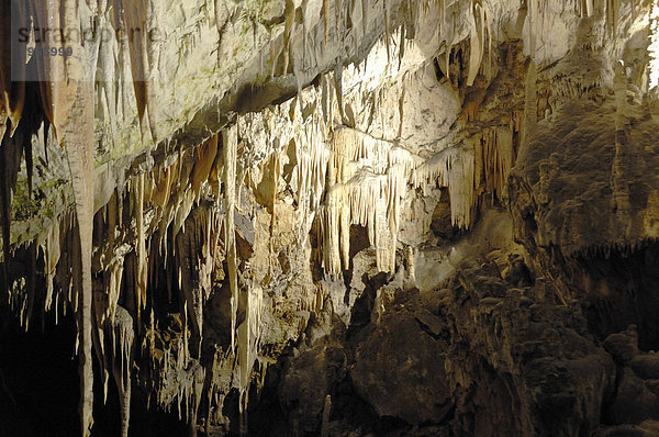 Stalagtiten im Inneren der Karsthöhle  Postojna  Slowenien  Europa