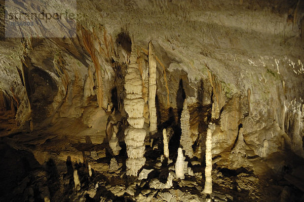 Stalagtiten und Stalagmiten im Inneren der Karsthöhle  Postojna  Slowenien  Europa